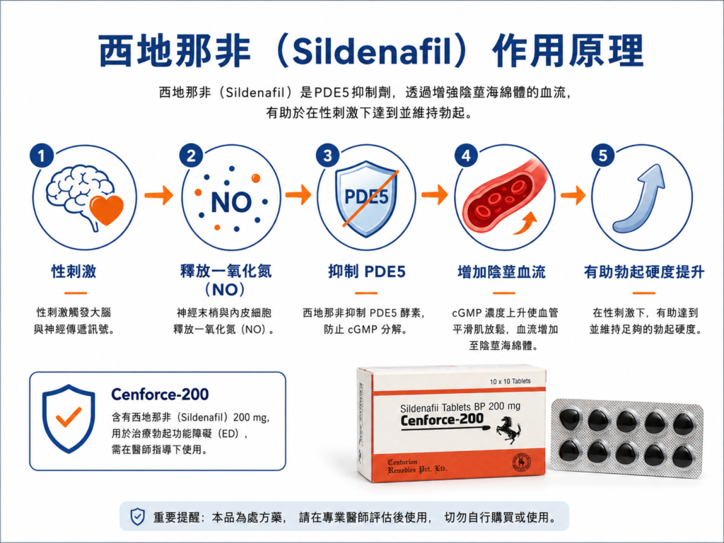 西地那非 Sildenafil 成分作用原理示意圖